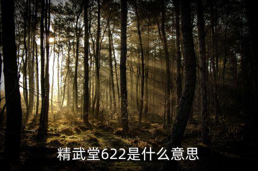 622什么意思國泰君安，國泰君安是什么意思