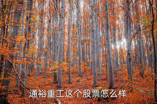 通裕重工是什么板塊，通裕重工這個股票怎么樣