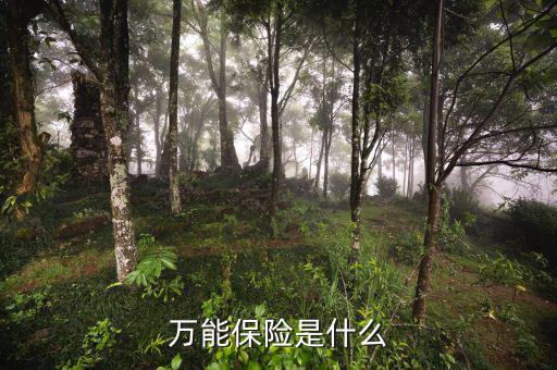 萬能壽險是什么意思，萬能保險是什么