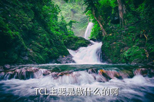 tcl房地產(chǎn)主要干什么的，TCL主要是做什么的啊