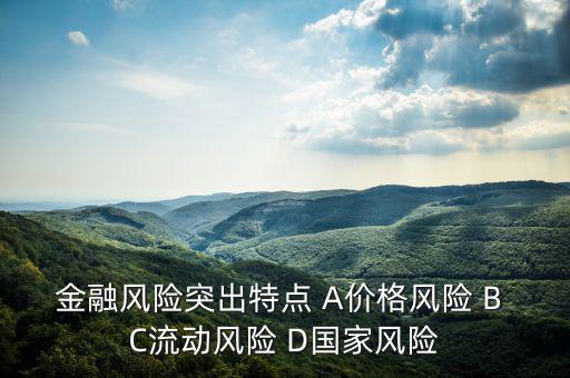 金融風險有什么特征，試述國際金融風險的特征