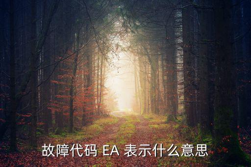 華泰ea什么意思，故障代碼 EA 表示什么意思