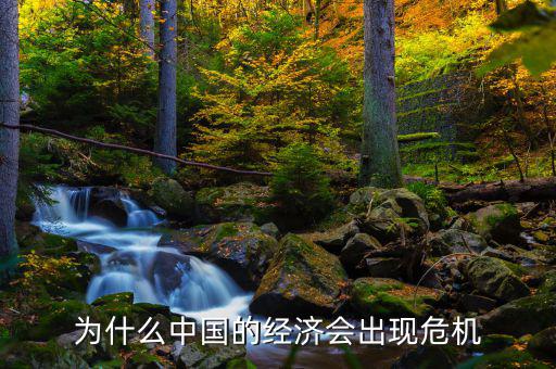 為什么中國(guó)將發(fā)生經(jīng)濟(jì)危機(jī)，中國(guó)為什么會(huì)面臨經(jīng)濟(jì)危機(jī)