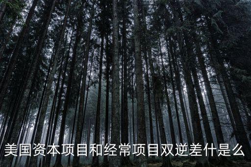 美國資本項目和經(jīng)常項目雙逆差什是么