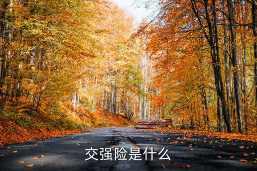 什么是交強險，交強險是什么