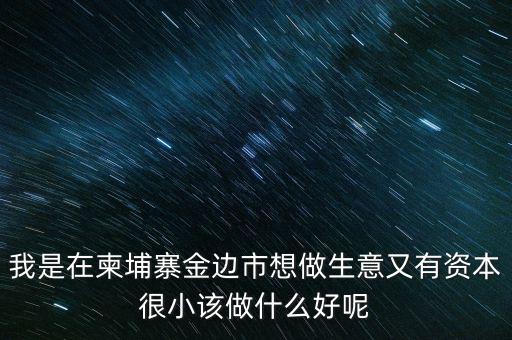 柬埔寨投資100萬元能干什么，我是在柬埔寨金邊市想做生意又有資本很小該做什么好呢