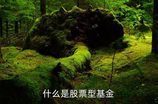 什么是權重股票基金，什么是股票型基金