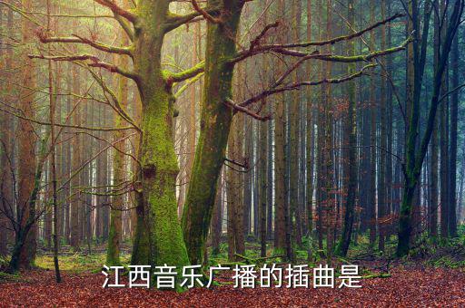 江西高速之歌是什么，江西音樂廣播的插曲是