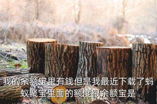 有什么軟件像存金寶那樣的，類似支付寶的理財產(chǎn)品有哪些