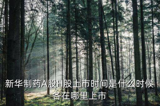 新華醫(yī)藥是什么股票，600587新華醫(yī)療2560買的最后1個交易日終究解套并小贏了請問接下來