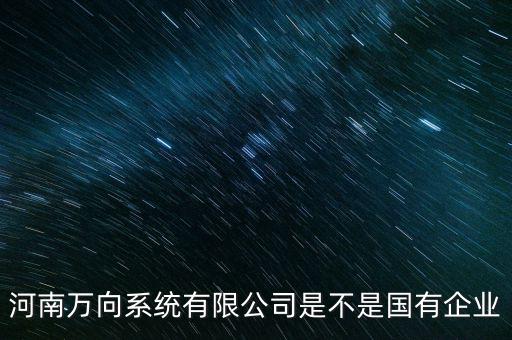 河南萬向系統(tǒng)有限公司是不是國(guó)有企業(yè)