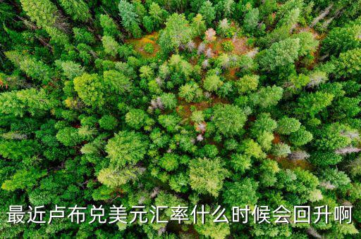盧布什么時(shí)候能回升，最近盧布兌美元匯率什么時(shí)候會(huì)回升啊