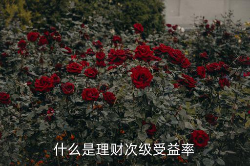 次級收益是什么，什么是理財次級受益率