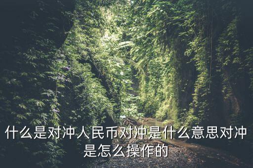 什么是基金a基金b對(duì)沖，什么是對(duì)沖人民幣對(duì)沖是什么意思對(duì)沖是怎么操作的