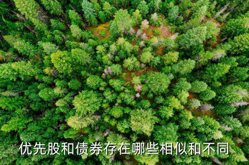 境外優(yōu)先股是什么，優(yōu)先股試點是什么說的詳細點
