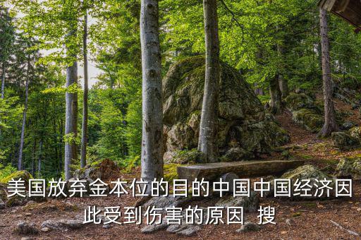 美國放棄金本位的目的中國中國經濟因此受到傷害的原因  搜