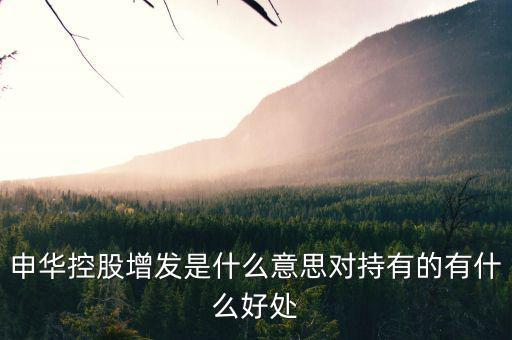 申華控股是什么板塊，申華控股怎么樣