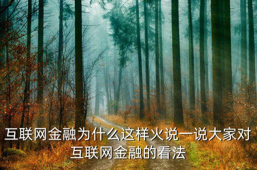 互聯網金融為什么這樣火說一說大家對互聯網金融的看法