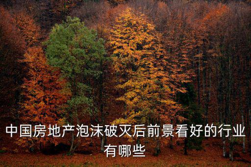 房地產(chǎn)泡沫后什么行業(yè)賺錢(qián)，如果真有一天中國(guó)房地產(chǎn)泡沫破了我們做點(diǎn)什么賺錢(qián)呢或者說(shuō)有