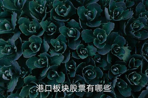 福建有什么港口股票，福建有哪些優(yōu)良的港口