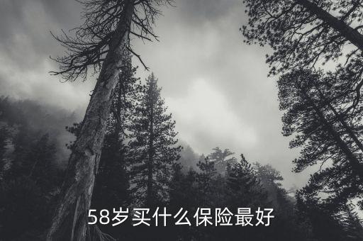 58歲女性做什么保險(xiǎn)，58歲女性可以辦哪些保險(xiǎn)啊