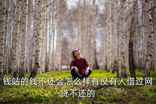 錢站的錢不還會(huì)怎么樣有沒(méi)有人借過(guò)網(wǎng)貸不還的
