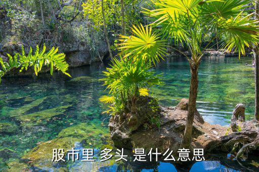 股市里什么叫多頭，股市里 多頭 是什么意思