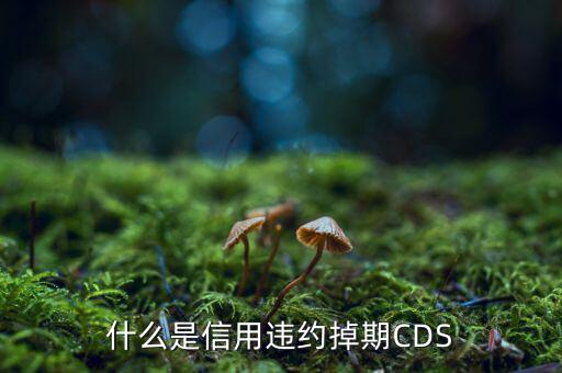 什么是信用違約掉期，什么是信用違約掉期