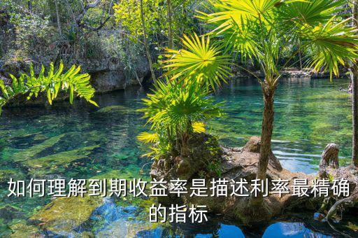 衡量利率最精確的指標通常是什么，什么是一個很好的債券利率風險衡量指標