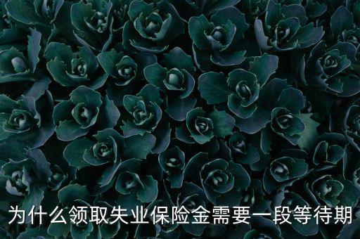 失業(yè)保險(xiǎn)為什么應(yīng)設(shè)等待期限，為什么領(lǐng)取失業(yè)保險(xiǎn)金需要一段等待期