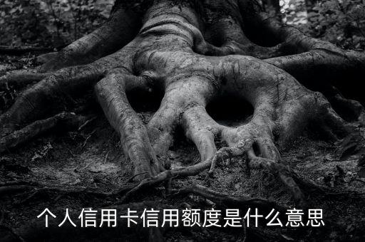 信用卡的信用額度是什么意思，信用卡額度什么意思