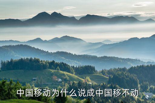中國移動(dòng)為什么不轉(zhuǎn)型，中國移動(dòng)n1屏幕怎么不旋轉(zhuǎn)