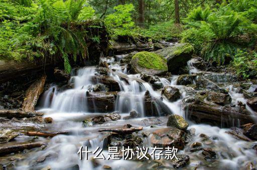 什么是銀行協(xié)議存款，什么是銀行協(xié)定存款