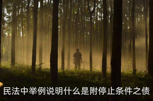 附停止條件的合同是什么意思，請教一下 怎么理解附條件和附期限合同啊 最好舉個例子 萬分感謝  搜