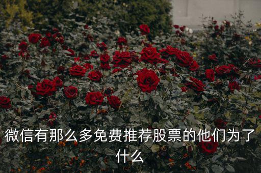 免費股票為什么，微信有那么多免費推薦股票的他們?yōu)榱耸裁?/></a></span><span id=