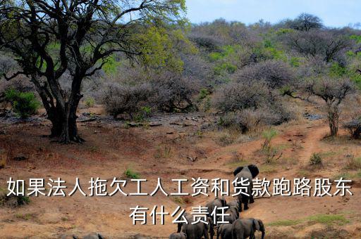 法人跑路屬于什么罪，申請(qǐng)勞動(dòng)仲裁被告用人單位法人代表逃跑了怎么辦他將背負(fù)什么罪