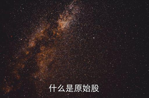 公司原始股是什么，什么是原始股怎樣買原始股