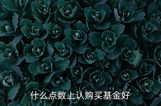 什么點數(shù)上認(rèn)購買基金好