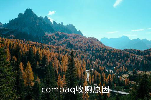 泰一指尚為什么被收購(gòu)，compaq收購(gòu)原因