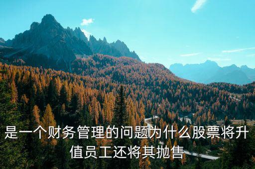 為什么要拋售股票，是一個財務(wù)管理的問題為什么股票將升值員工還將其拋售