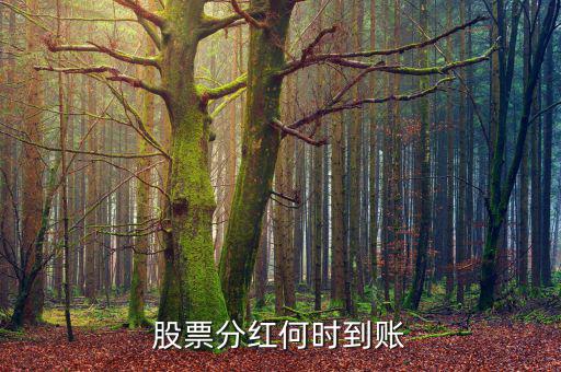 分紅什么時(shí)候到賬，分紅的金額什么時(shí)候會(huì)到賬戶(hù)