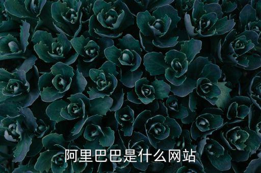 阿里巴巴是什么網(wǎng)站，阿里巴巴是什么網(wǎng)站