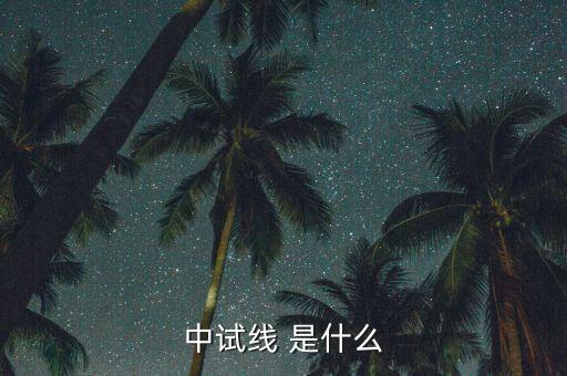 中試線是什么意思，中試線 是什么