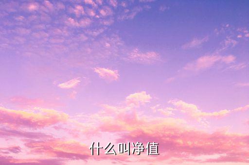 什么是凈值類理財(cái)產(chǎn)品，凈值型理財(cái)產(chǎn)品是什么意思