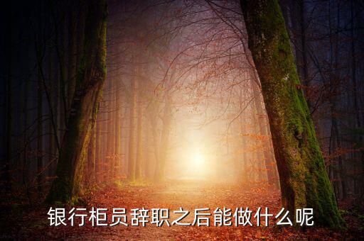 銀行辭職后做什么，銀行柜員辭職之后能做什么呢