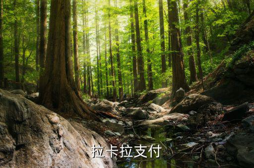 拉卡拉便利支付是什么，什么是銀聯(lián)拉卡啦支付