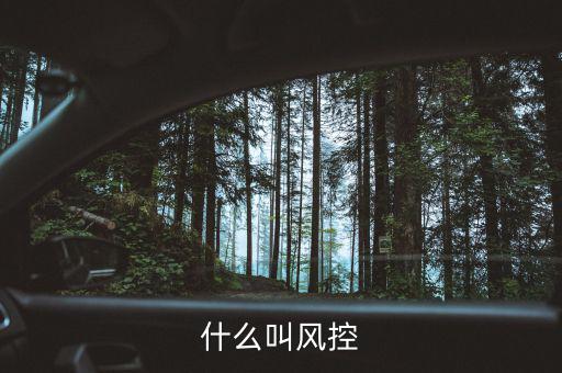 易到風(fēng)控什么意思，什么叫風(fēng)控