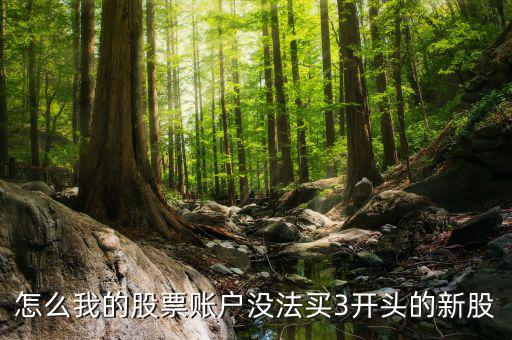 3開頭的股票為什么不能買，請(qǐng)問新開戶的股民為什么不能買3字開頭的股票