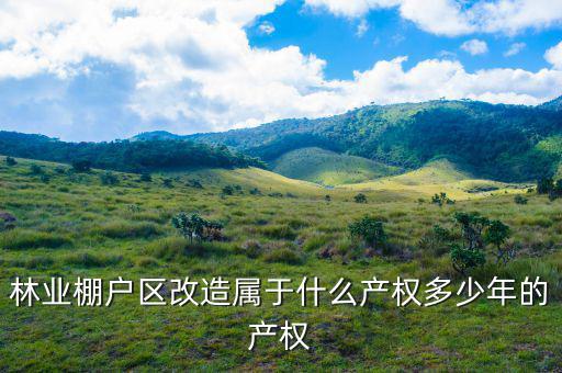 什么是林業(yè)棚戶區(qū)，請問蛟河林業(yè)棚戶區(qū)建造的樓房為什么收取物業(yè)費會和取暖費捆綁在一