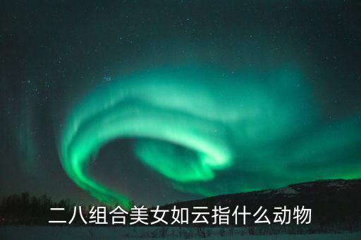 二八組合是什么意思，二八是什么意思